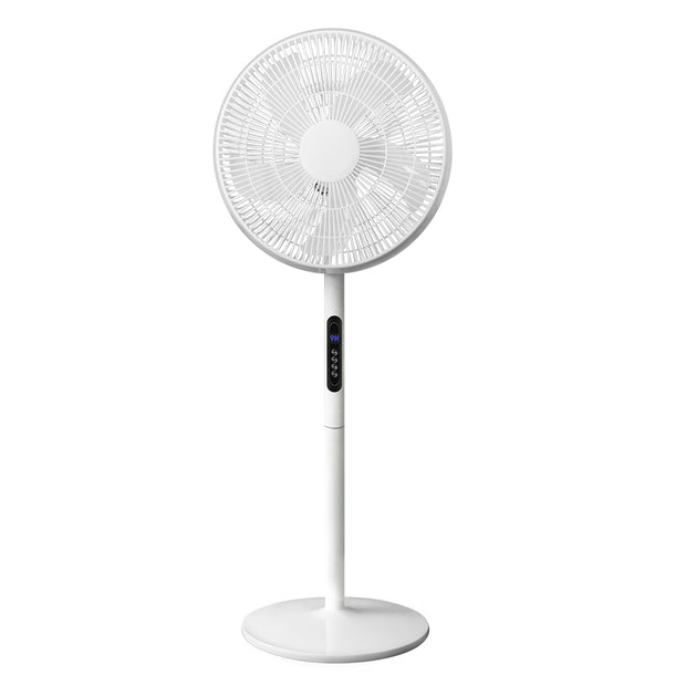 <h4><strong>New in</strong></h4><h1>Standing fans</h1>